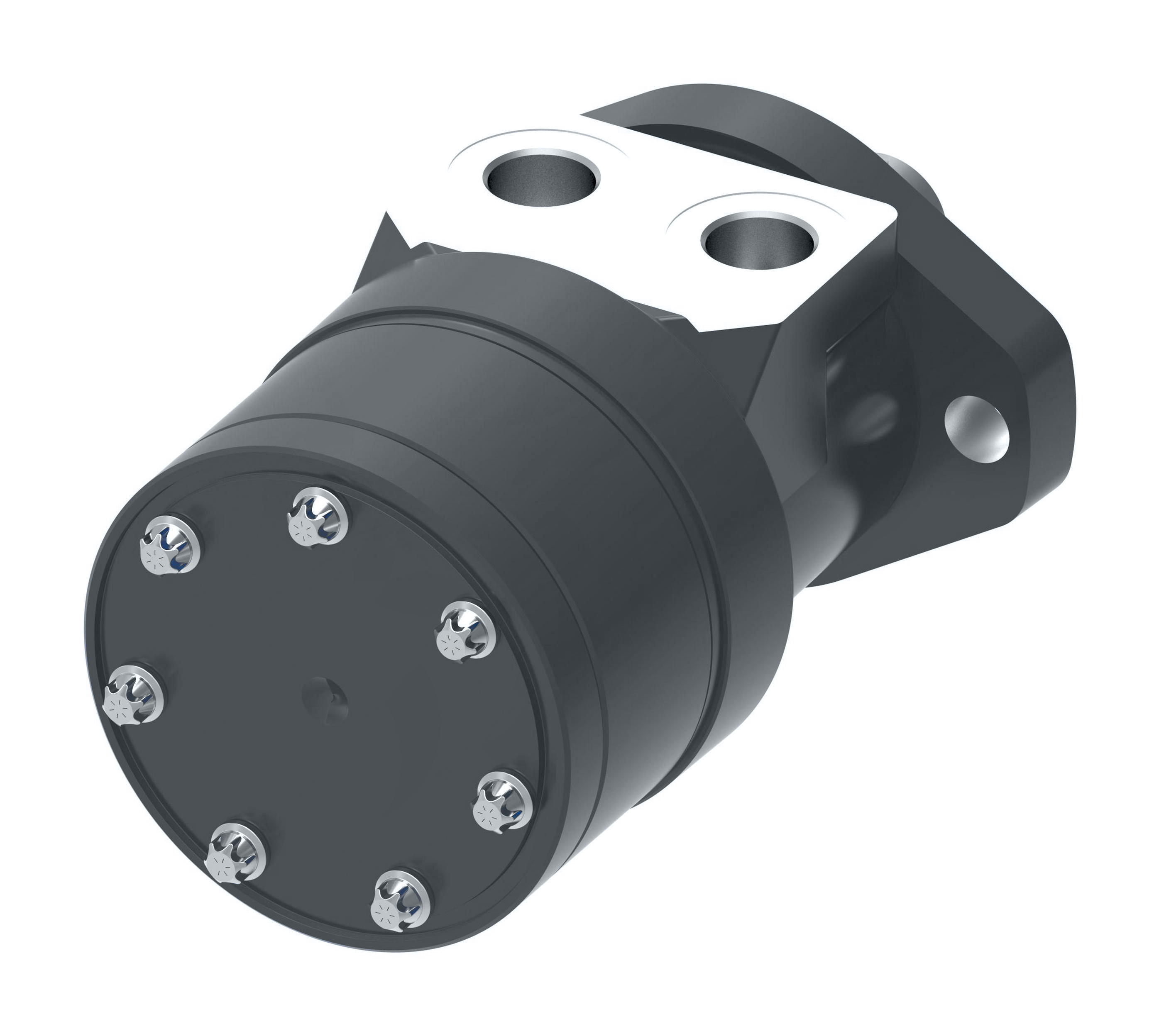まろん　1212 2.000.027-R, Left (Driver) Side Strut and Spindle - Black