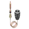 Termostat TPC 40 - 60 °C Termostat TPC 40 - 60 °C