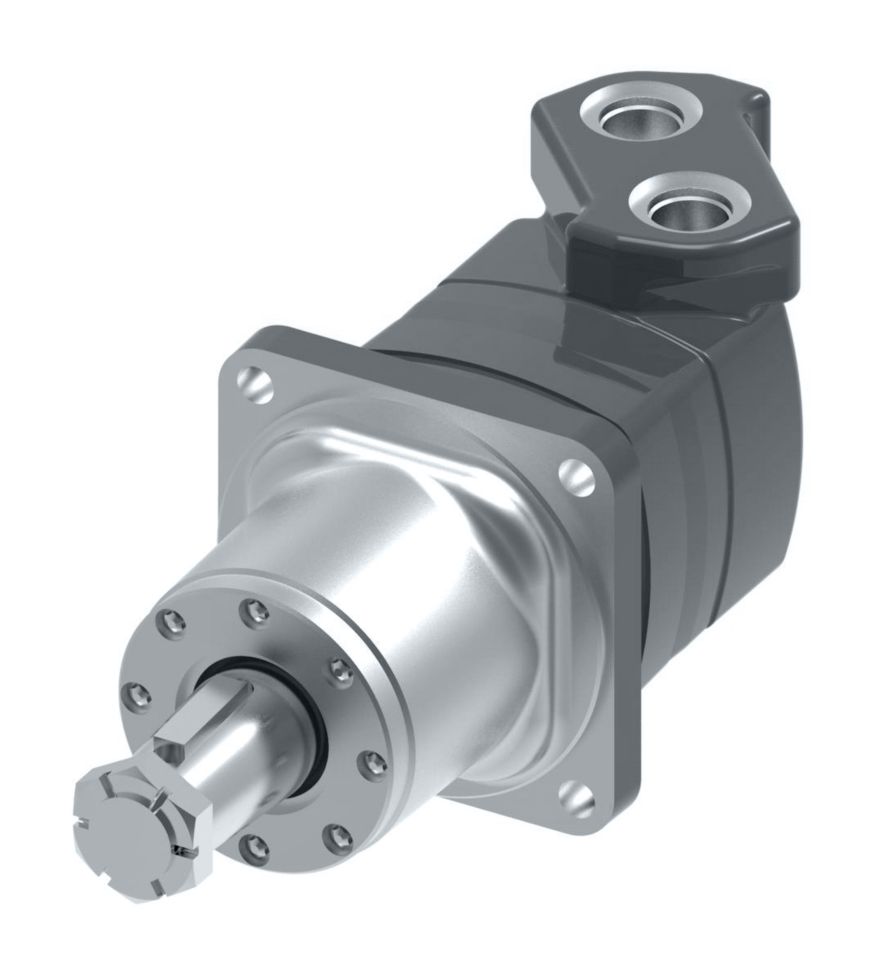 Amazon.com: AIVWUMOT Hydraulic Gerotor Motor 101-1002-009
