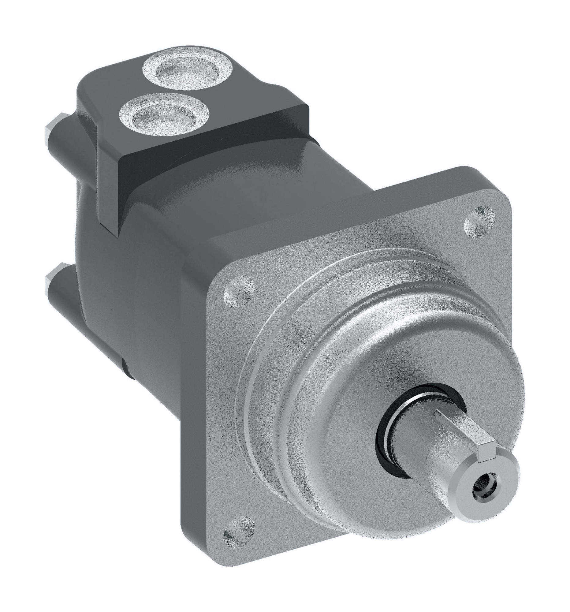 ハレロン パネルレース ロングジレ