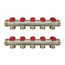 Manifold FHR-B, BRASS||BRASS, Number of heating manifold connections [loops] [Max]: 5, 10 bar