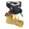 LENO MSV-B, DN 20, 内螺纹 LENO MSV-B, DN 20, 内螺纹