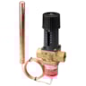 AVTB, PN 16, 5.50 m³/h, 0 °C - 30 °C, 2.0 m, Internal thread AVTB, PN 16, 5.50 m³/h, 0 °C - 30 °C, 2.0 m, Internal thread